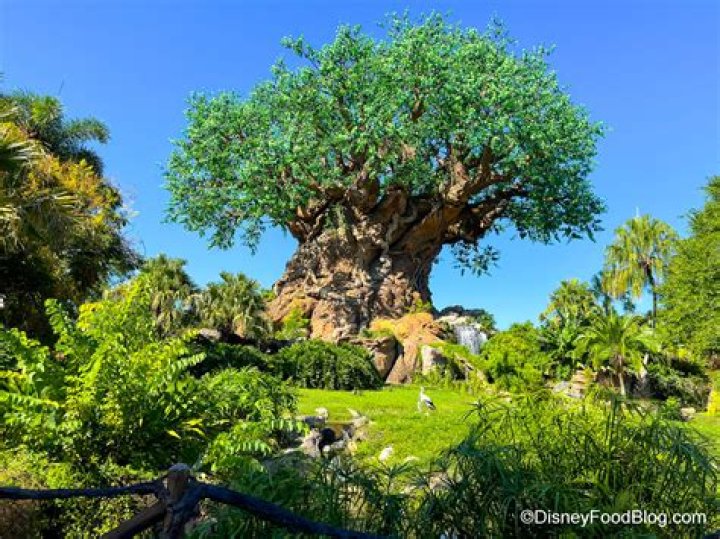 10 Things You May Now Know About the Tree of Life