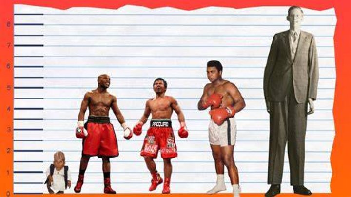 How Tall Is Floyd Mayweather Jr.?