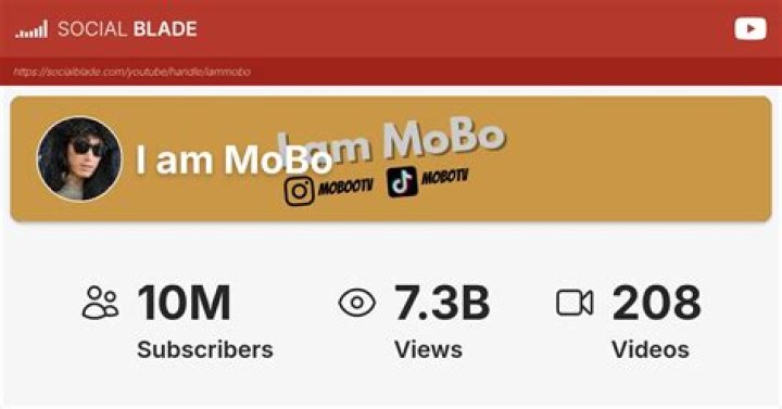 I am MoBo video statistics