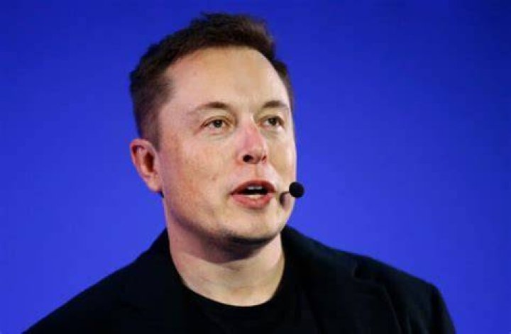 Is Elon Musk Self-Made?