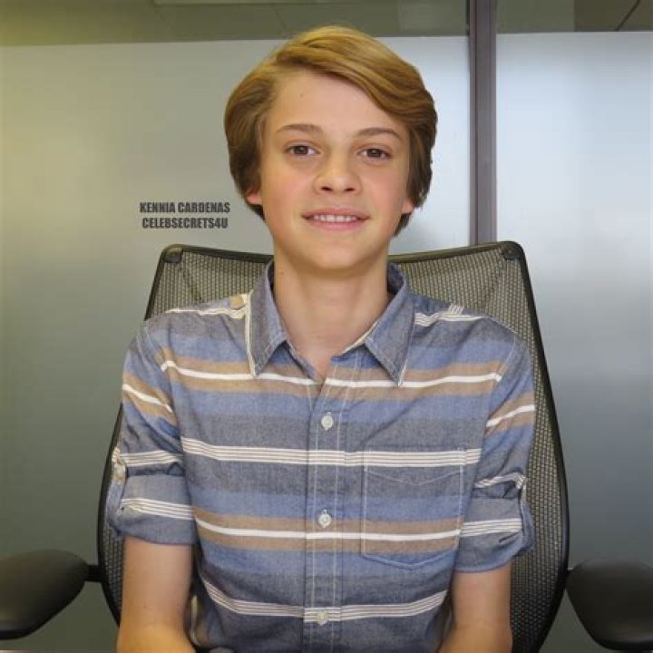 Jace Norman Talks Henry Danger Return on Nickelodeon – Watch the Video! – Celeb Secrets