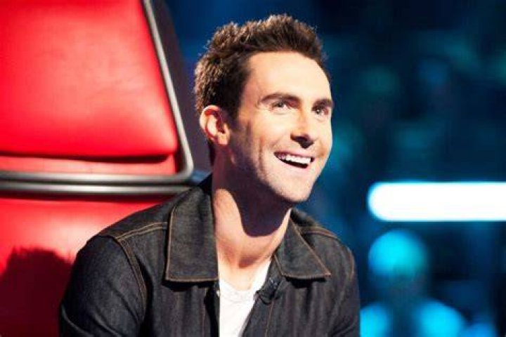 Was Adam Levine On 'American Idol'?
