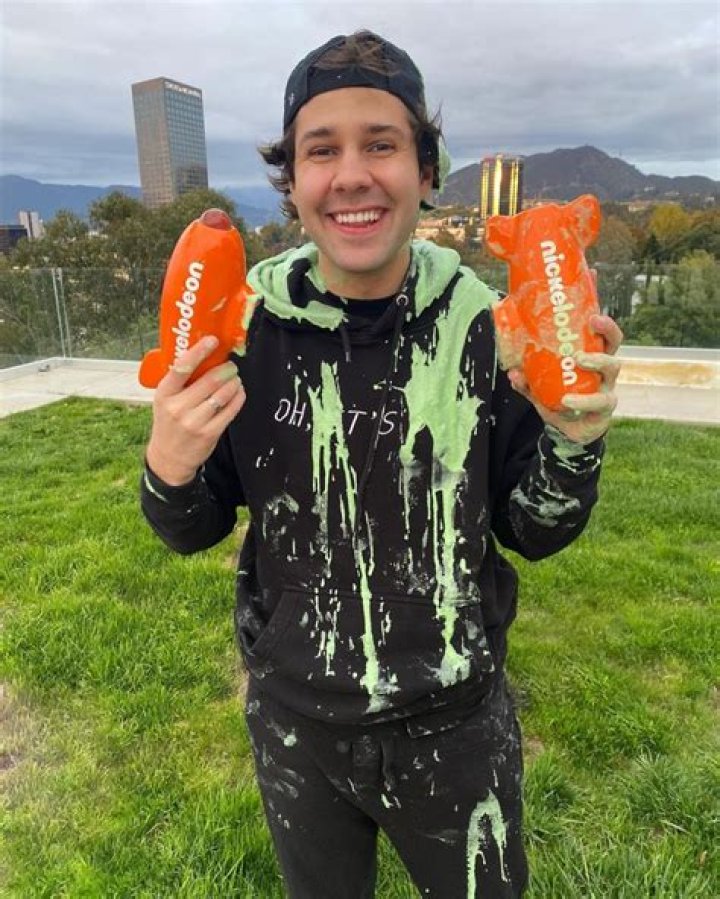 Why Is David Dobrik Famous?